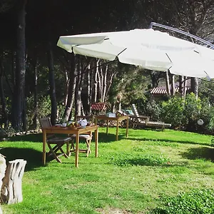 Frühstückspension Mirto E Mare