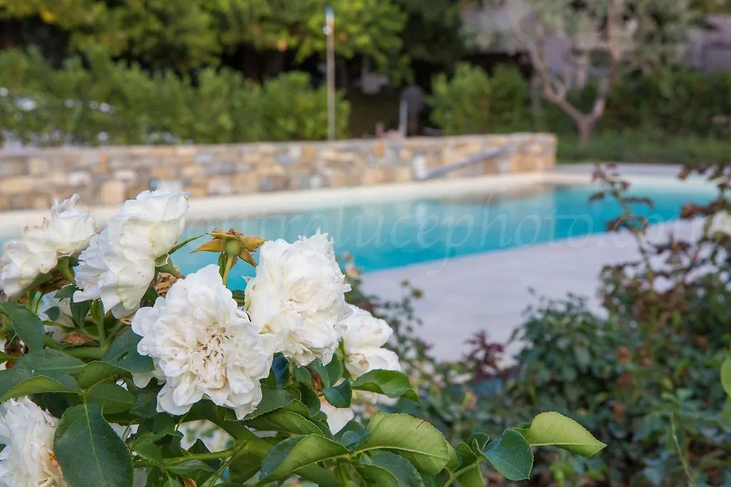 Albergo Stella Casciana Terme